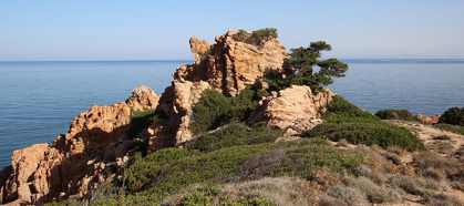 Picture of ROCKS AND MEDITERRANEAN SCRUB ON THE COAST