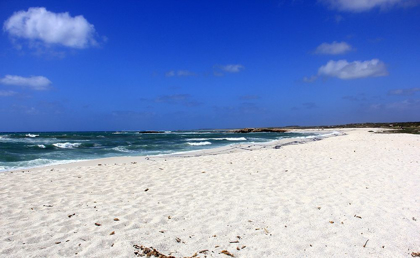 Picture of BRILLIANT MORNING WITH WHITE SAND, BLUE SKY SEA