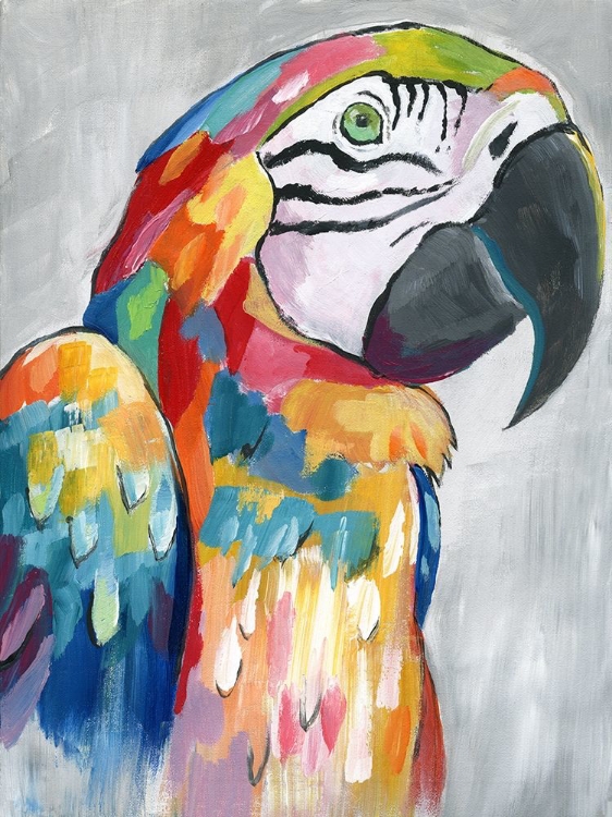 Picture of VIBRANT PARROT