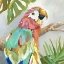 Picture of TROPICAL PLUMAGE
