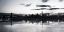 Picture of SHIMMERING SKYLINE