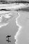 Picture of GOLD COAST BEACH
