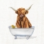 Picture of BATHING BEAUTY IV