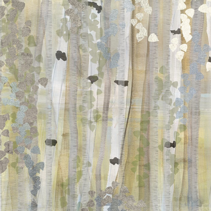 Picture of SPRING BIRCH GROVE I