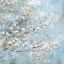 Picture of WHITE BLOSSOMS