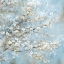 Picture of WHITE BLOSSOMS