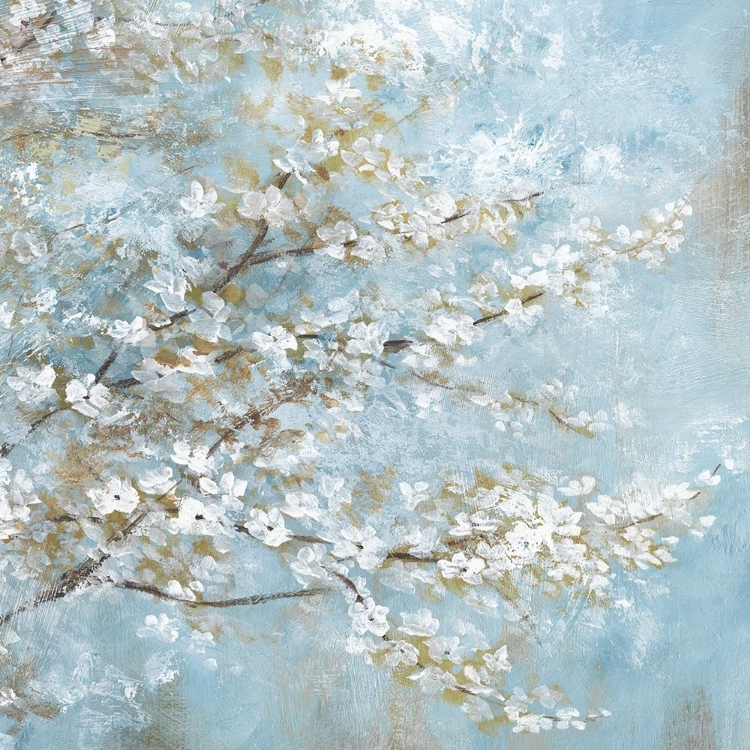 Picture of WHITE BLOSSOMS