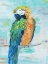 Picture of ISLAND PARROT II