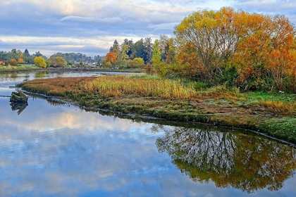 Picture of ESTUARY AUTUMN