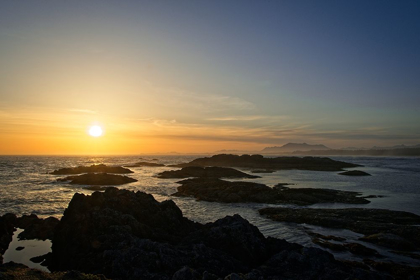 Picture of COASTAL WATERS AT SUNSET