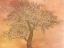 Picture of SEASONS