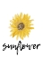 Picture of SUNFLOWER 