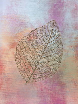 Picture of BELEAF 1