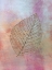 Picture of BELEAF 1