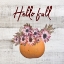 Picture of HELLO FALL