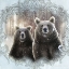 Picture of ENCHANTED WINTER BEARS   
