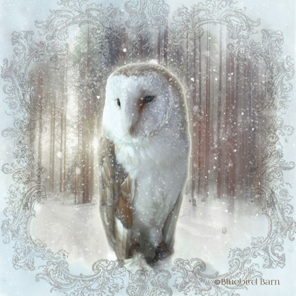 Picture of ENCHANTED WINTER OWL   