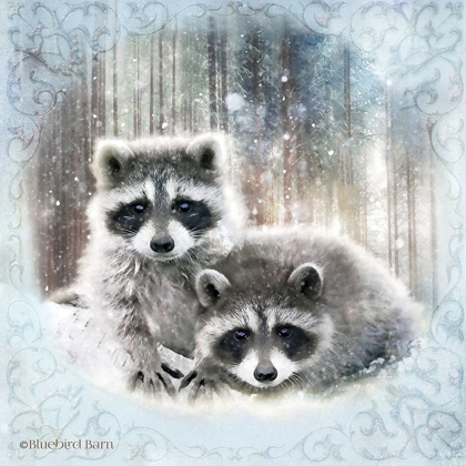 Picture of ENCHANTED WINTER RACCOONS  