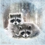 Picture of ENCHANTED WINTER RACCOONS  