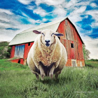 Picture of SUNDAY AFTERNOON SHEEP POSE  