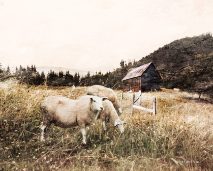 Picture of SHEEP IN THE MEADOW   
