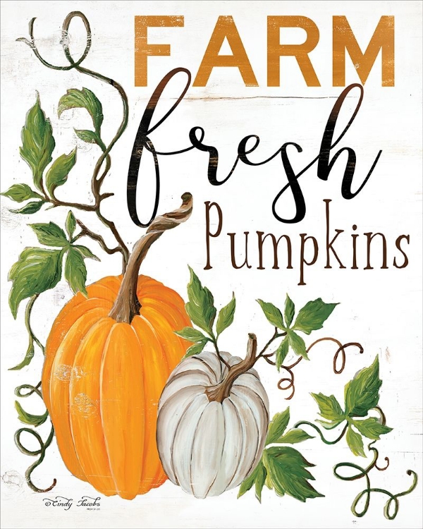 Picture of FARM FRESH PUMPKINS