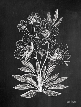 Picture of VINTAGE CHALKBOARD FLOWERS