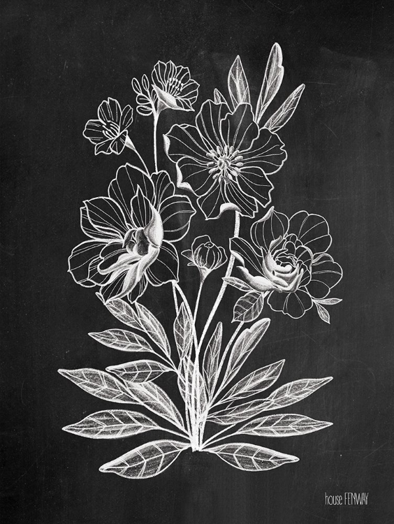 Picture of VINTAGE CHALKBOARD FLOWERS