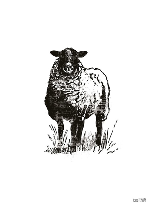Picture of FARMHOUSE SHEEP