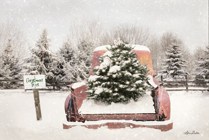 Picture of RUSTIC CHRISTMAS TREES 