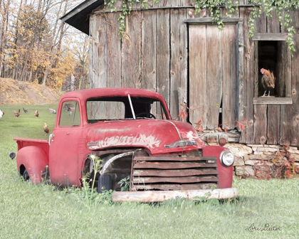 Picture of RED AND RUSTY I   
