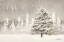Picture of O HOLY NIGHT   