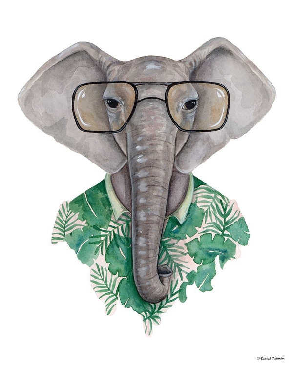 Picture of ELEPHANT IN EYE GLASSES