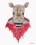 Picture of RHINO IN A RAINCOAT