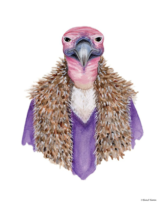 Picture of VULTURE IN A VEST