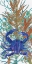 Picture of OCEAN GARDEN MEDLEY 2