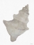 Picture of NEUTRAL SHELL 1