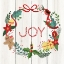 Picture of PEPPERMINT JOY  
