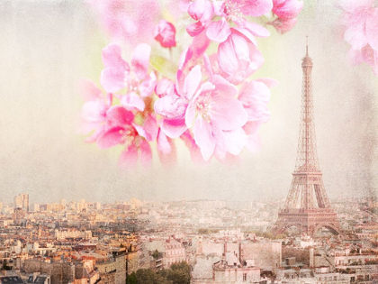 Picture of TOUR EIFFEL ROSE