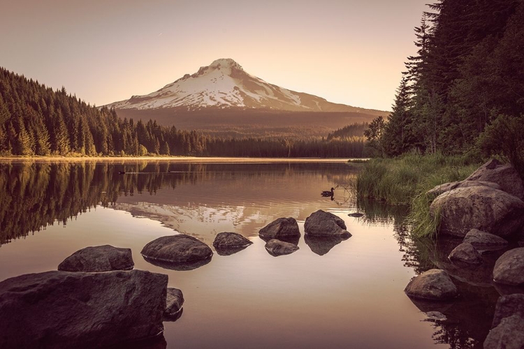 Picture of MOUNTAIN FOREST LAKE SUNRISE