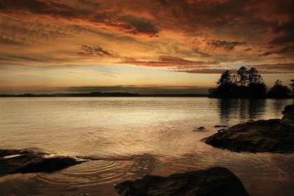 Picture of SUNSET ON SPARROW LAKE MUSKOKA