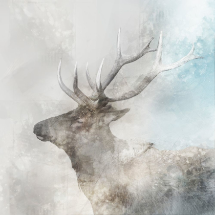 Picture of STAG GAZE I