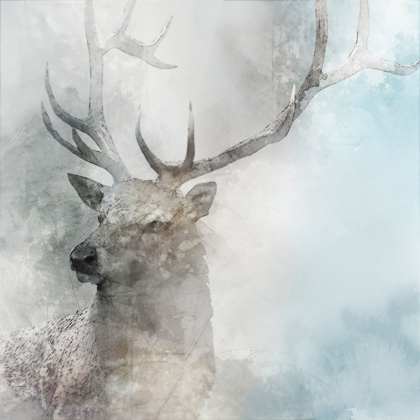Picture of STAG GAZE II