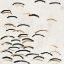 Picture of GLIDED FLIGHT 