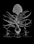 Picture of HYACINTHUS