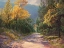 Picture of OCTOBER SUNSHINE