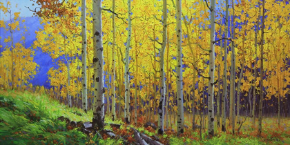 Picture of FALL ASPEN