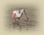 Picture of ROSEATE SPOONBILL