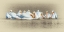 Picture of WHITE PELICANS