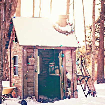 Picture of HOLIDAY SHED